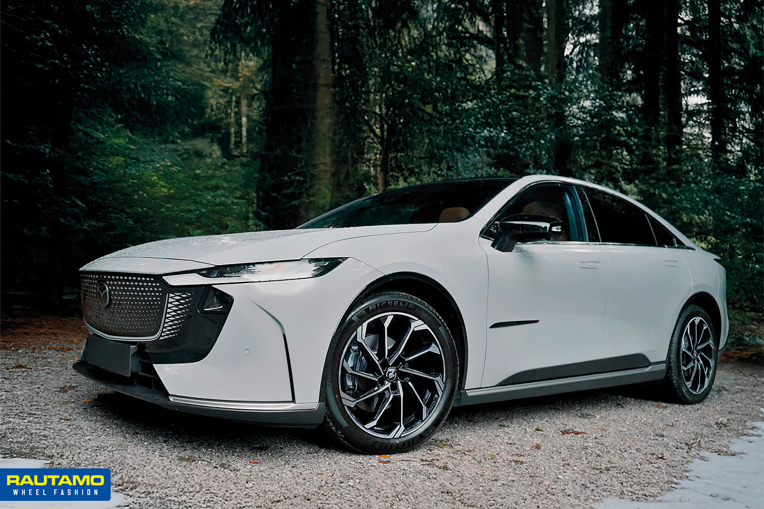 Brock RC36 Black Full Polish